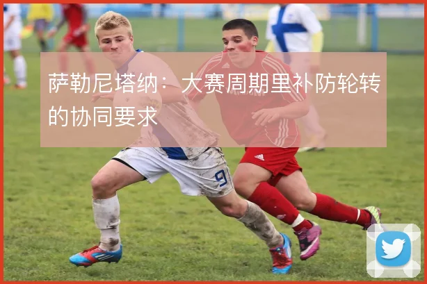 萨勒尼塔纳：大赛周期里补防轮转的协同要求